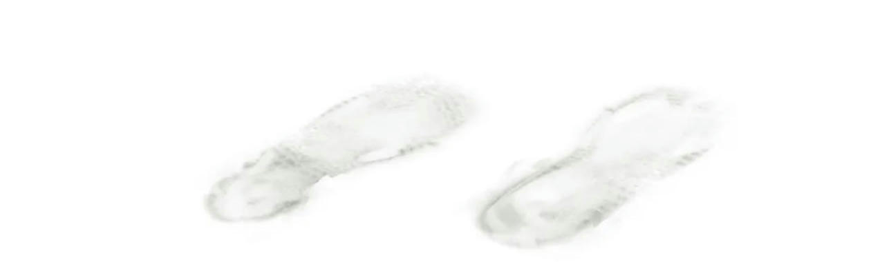 ác hoa chapter 14 80