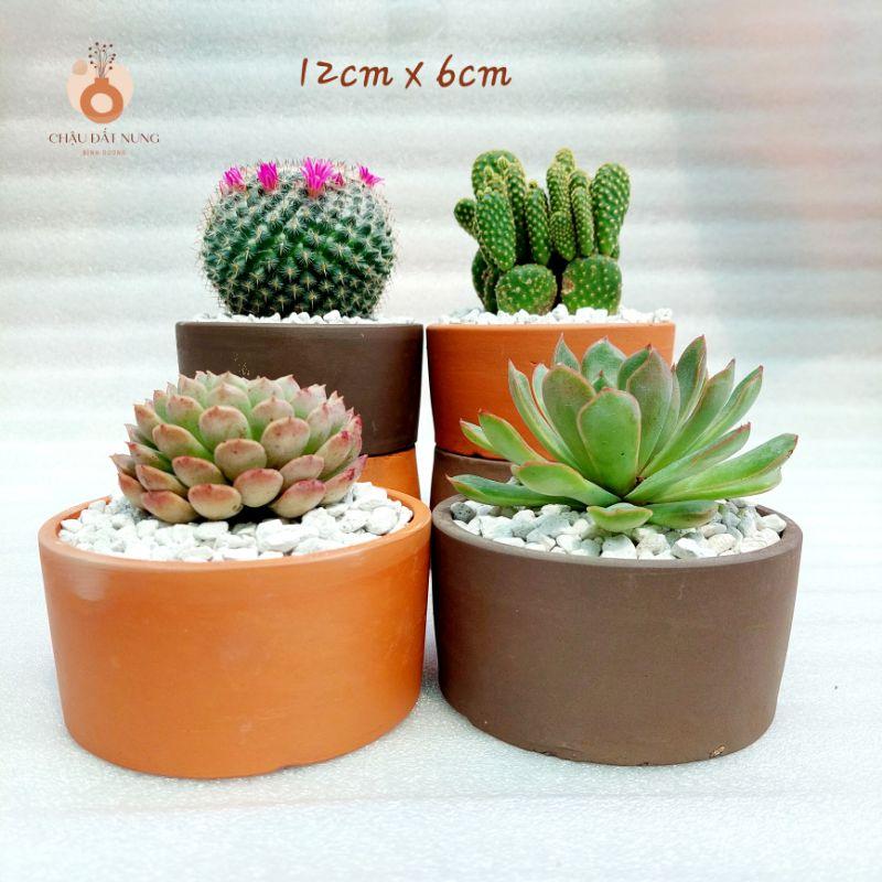 Chậu đất nung, chậu sen đá - Trụ 126, miệng chậu 12cm, chiều cao 6cm