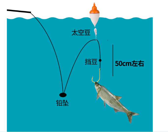 Phao câu điện - câu lance, câu biển