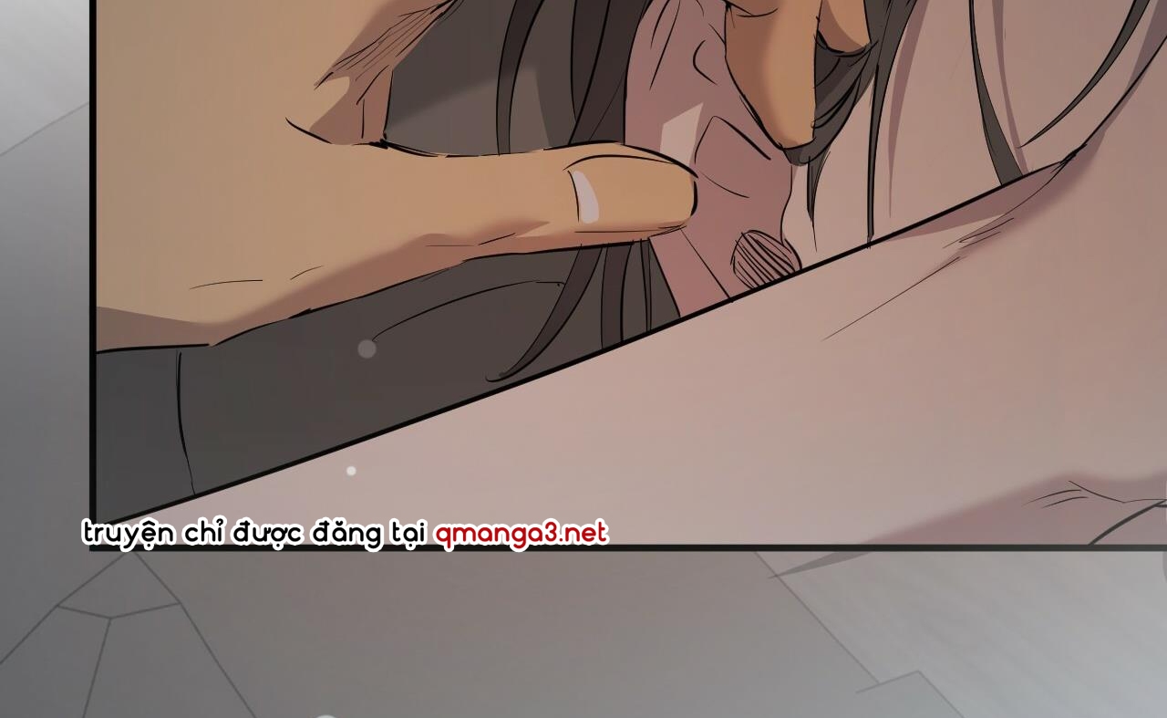 những chú thỏ của hapypy chapter 52 115