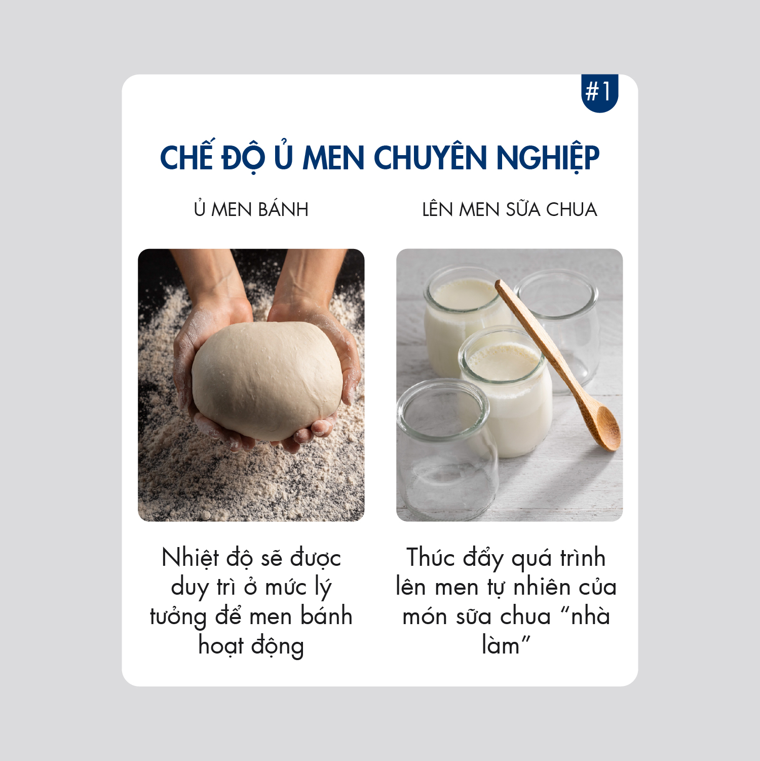 Nồi Chiên Hơi Nước DINGO DSF16 – Công Nghệ Mới Hấp Chiên Kết Hợp – Dung tích 16L – Công Suất 2250W