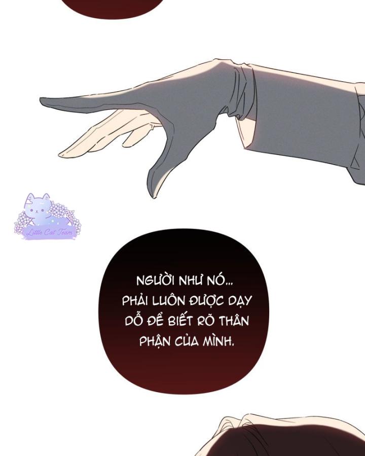 nỗi ám ảnh là tình yêu và cố chấp chapter 3 4