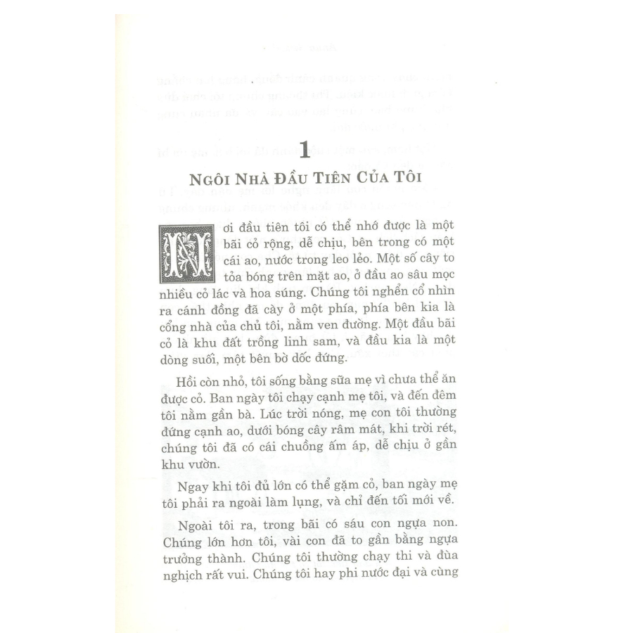 Ngựa Ô Yêu Dấu (Tái Bản)