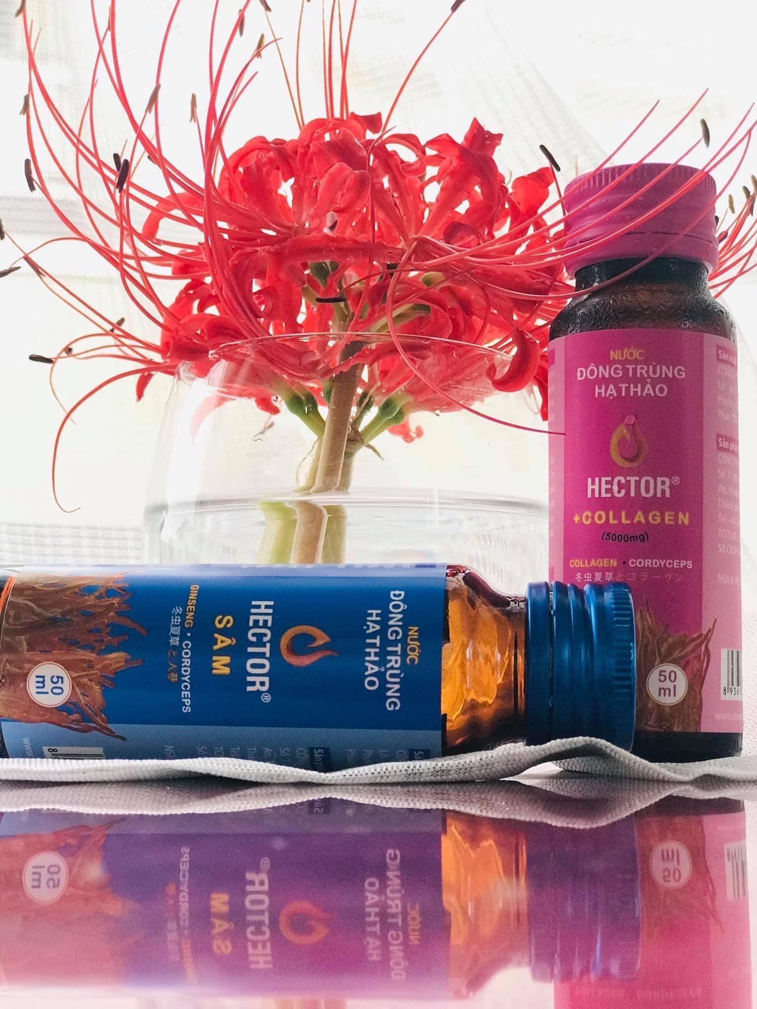 Nước Đông Trùng Hạ Thảo Hector Collagen - Hàng chính hãng