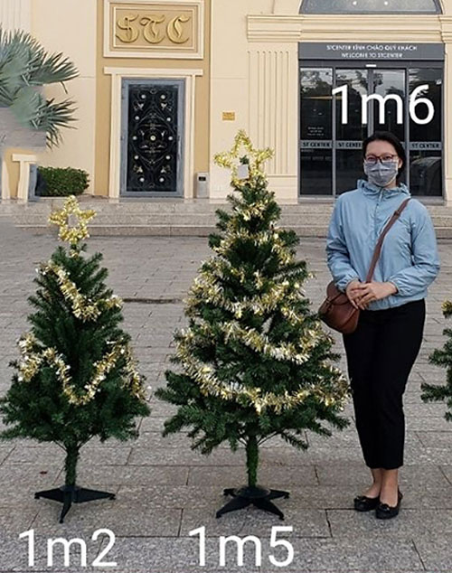 Cây thông noel màu xanh 1m2 - Tán dày và đẹp, cây thông chắc chắn và dể tháo lắp