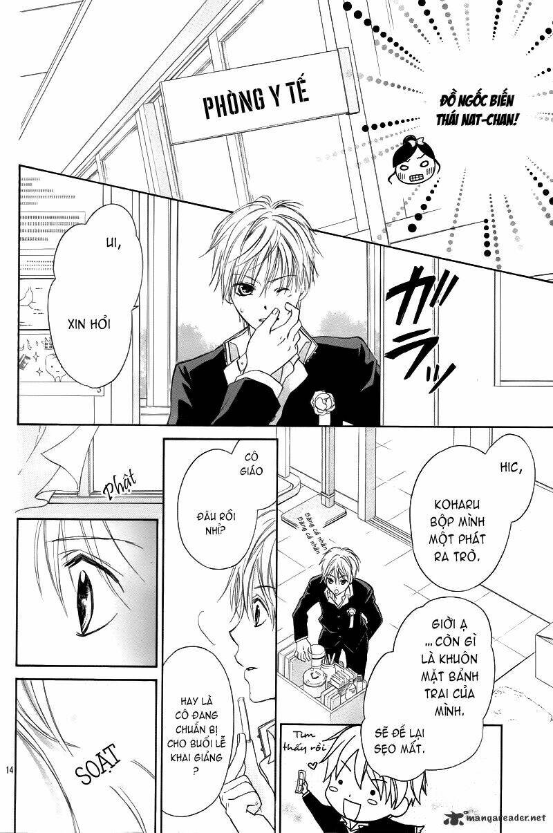 hachimitsu ni hatsukoi chapter 1 15