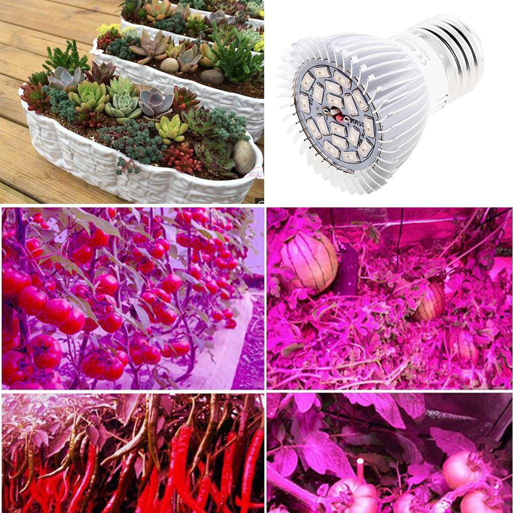 Đèn LED Trồng Cây Thủy Canh Bằng PC + Nhôm - Tùy chọn mẫu