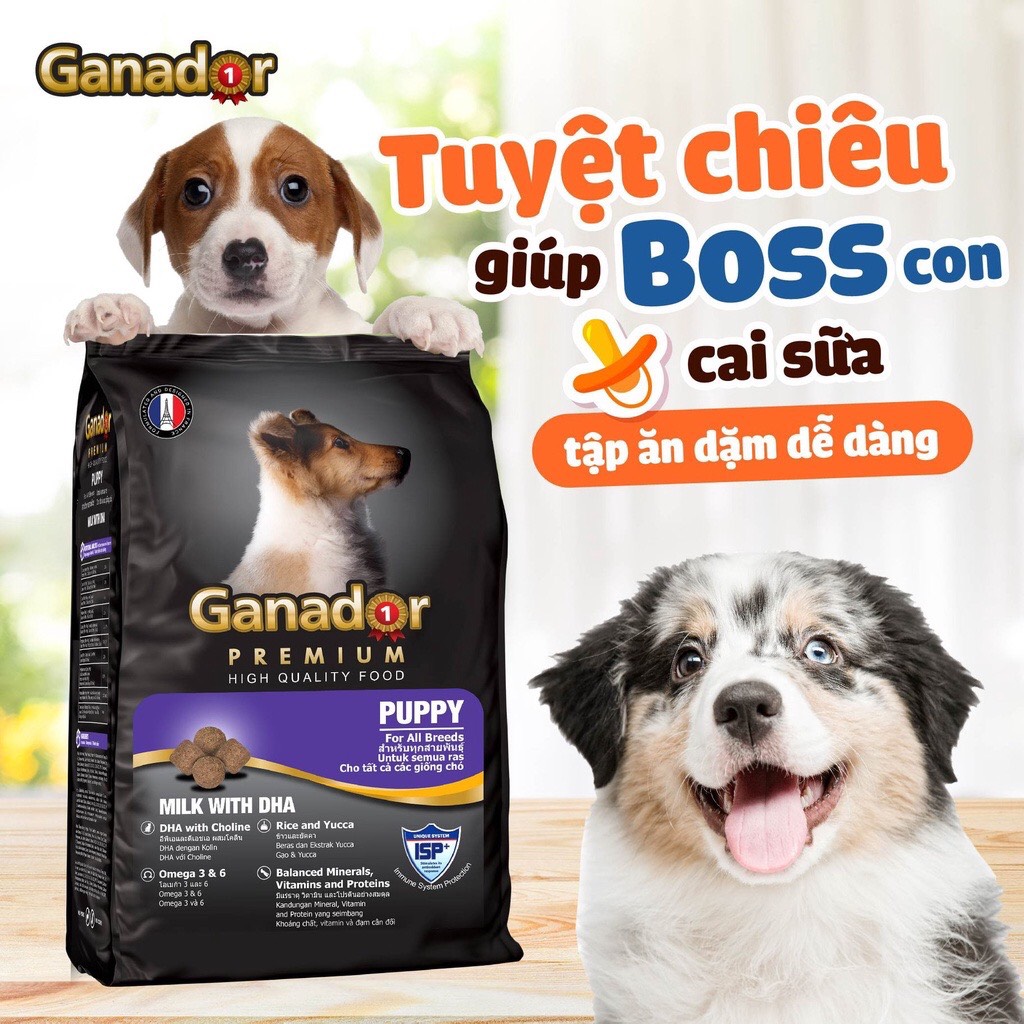 20KG Thức ăn cho chó con Ganador vị Sữa và DHA - Ganador Puppy milk with DHA - Thức ăn hạt cho chó con