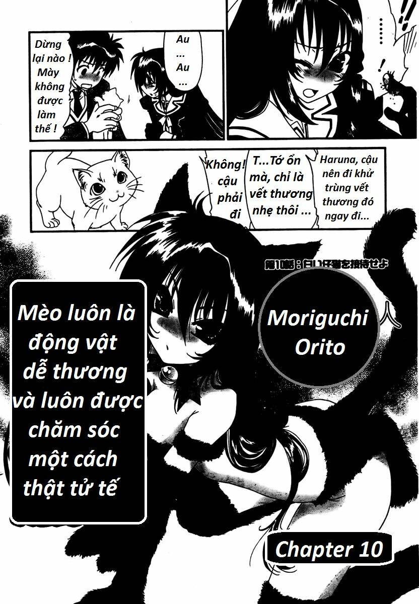 moriguchi orito no teiougaku chapter 10 2