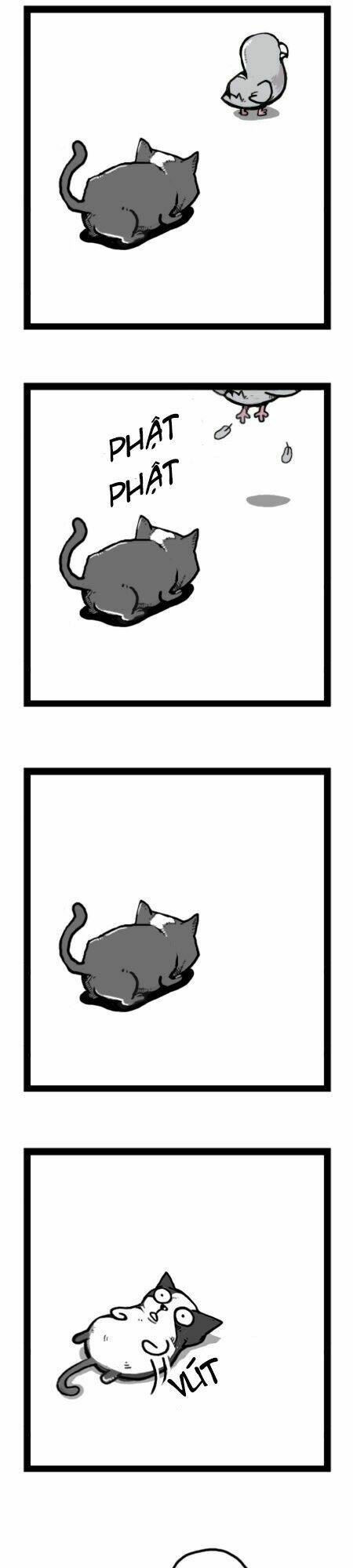 earth, human, and animal chapter 21 16