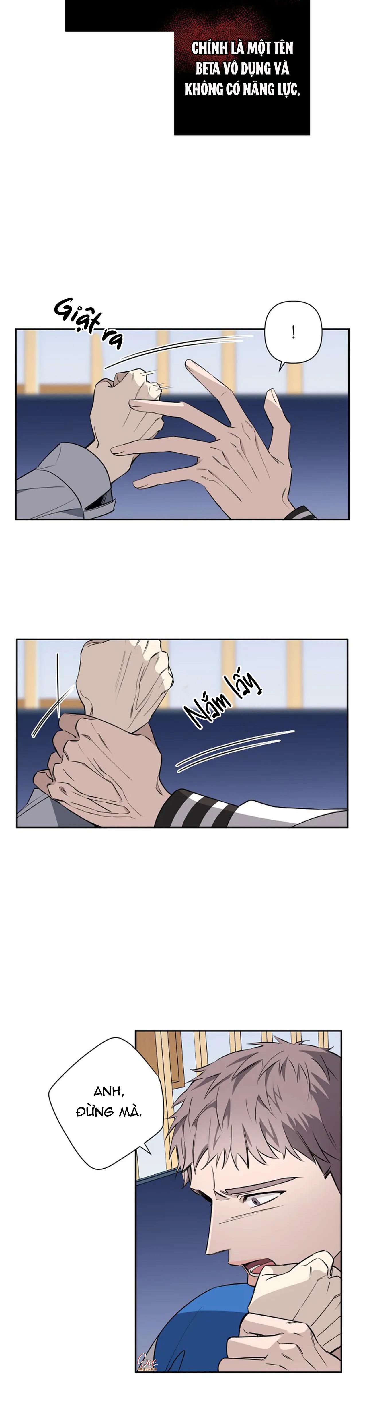 đêm dịu dàng chapter 40 23