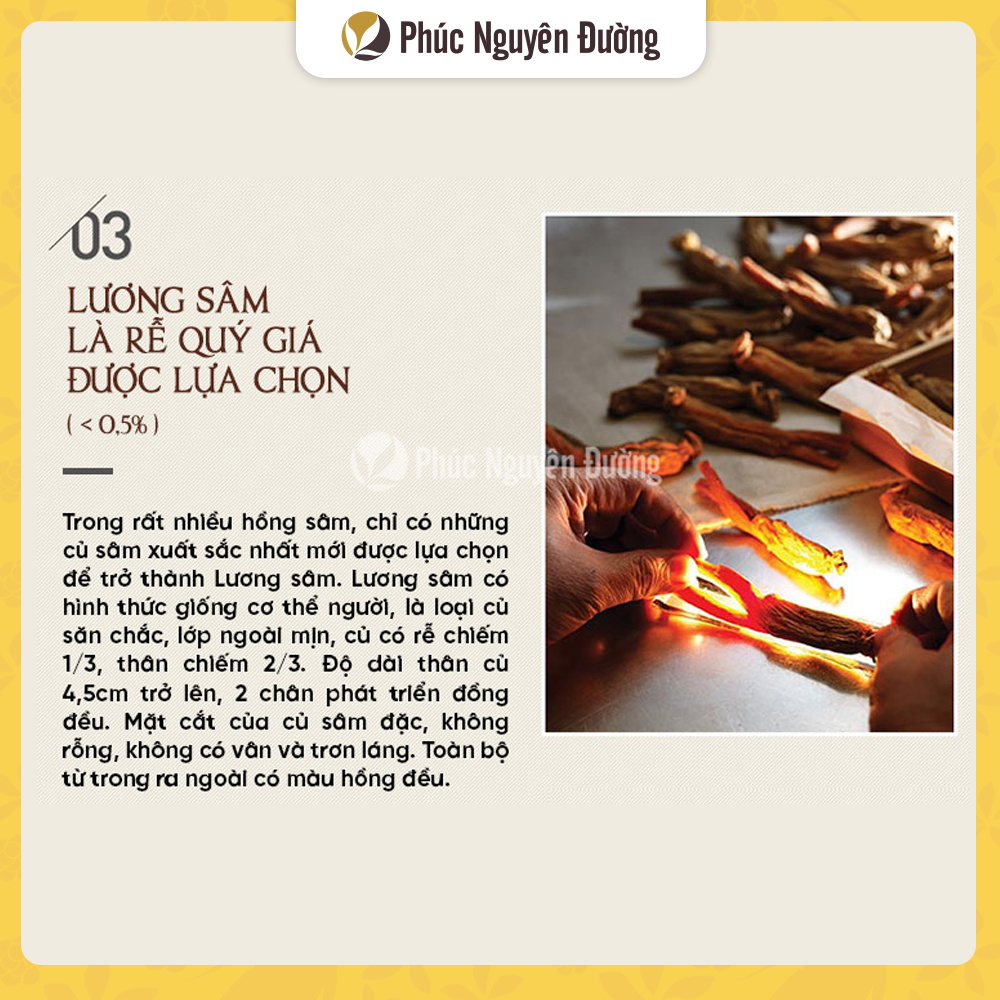 Thực Phẩm Chức Năng Lương Sâm Good 30 300g/19 Củ - CKJ Korean Red Ginseng Root - Good 30PCS 300g