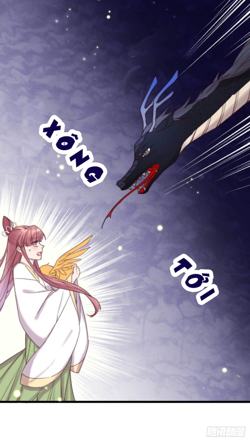 đế tôn cuồng sủng: thần y đặc công phế tài phi chapter 12 13