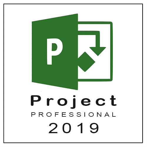 Project 2019 Professional 32/64-bit