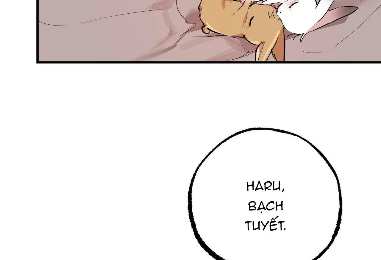 đàn thỏ của habibi chapter 28 45