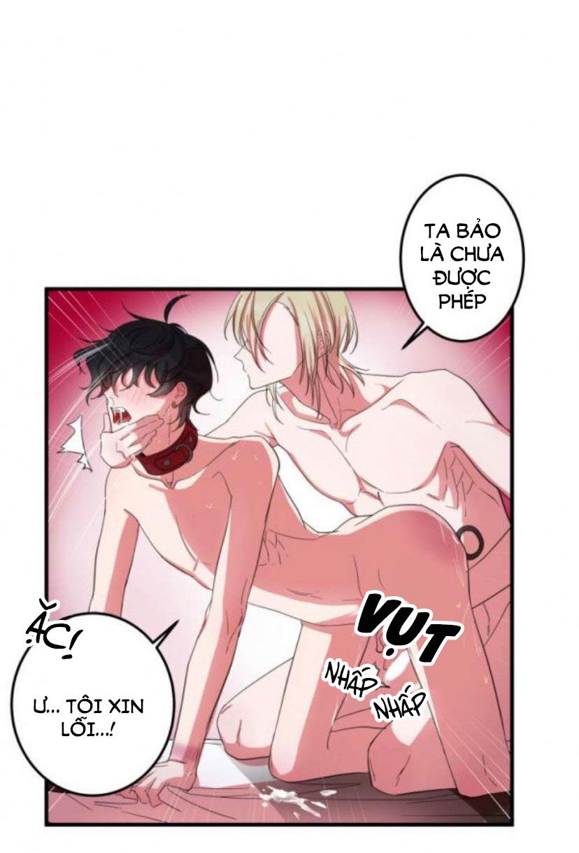 khẩu vị và sự tôn thờ của người yêu tôi chapter 5 14