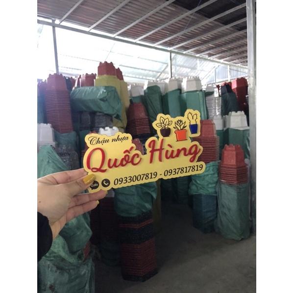 Hạt giống các loại rau cải