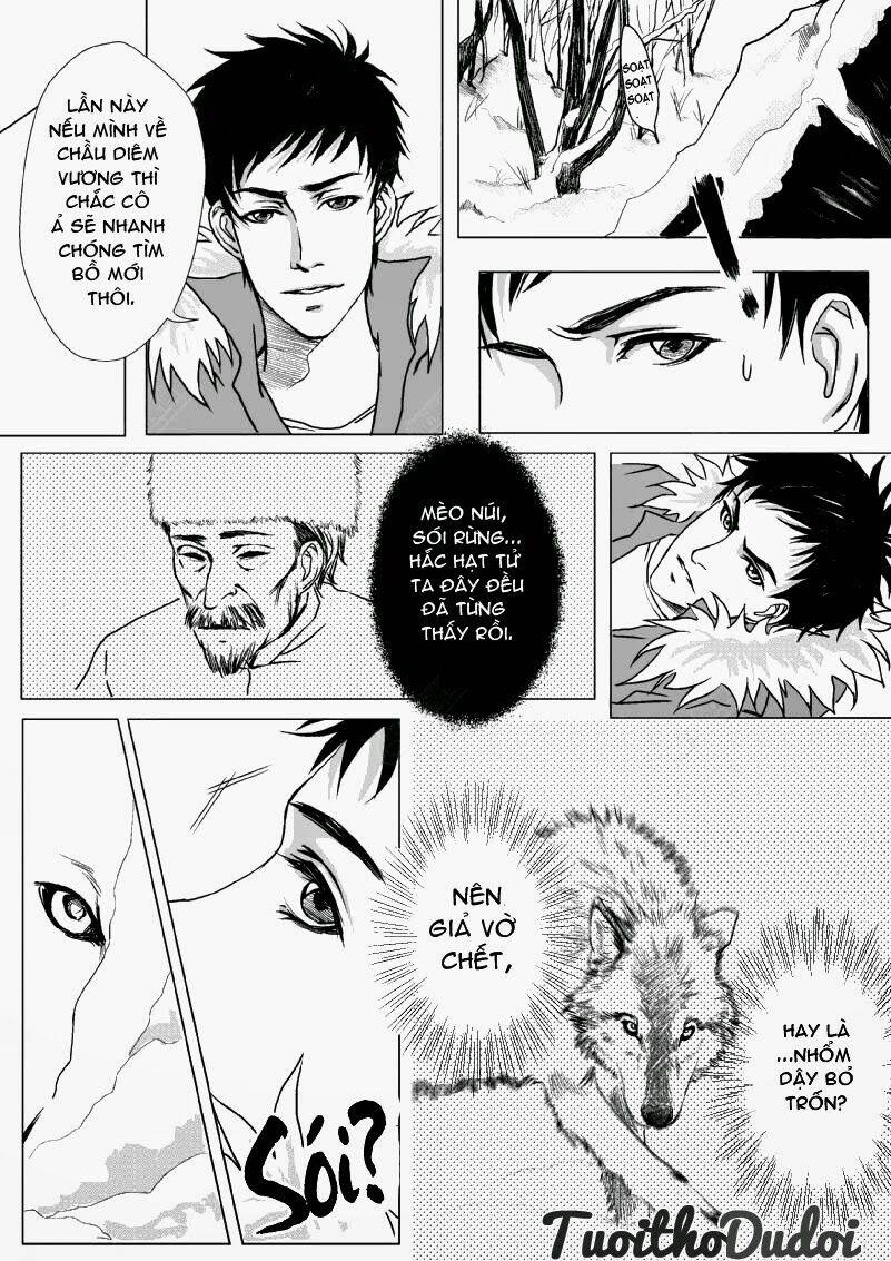 sự mê hoặc của sói chapter 1 13