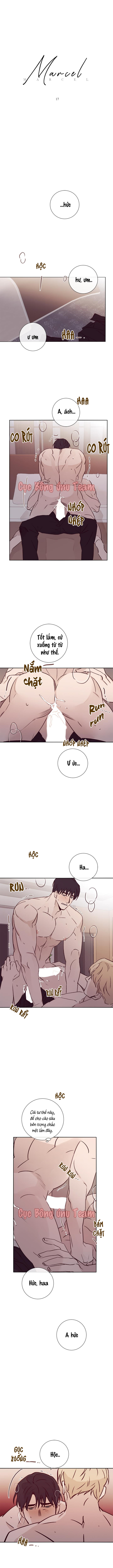 độc dược (marcel) chapter 17 1