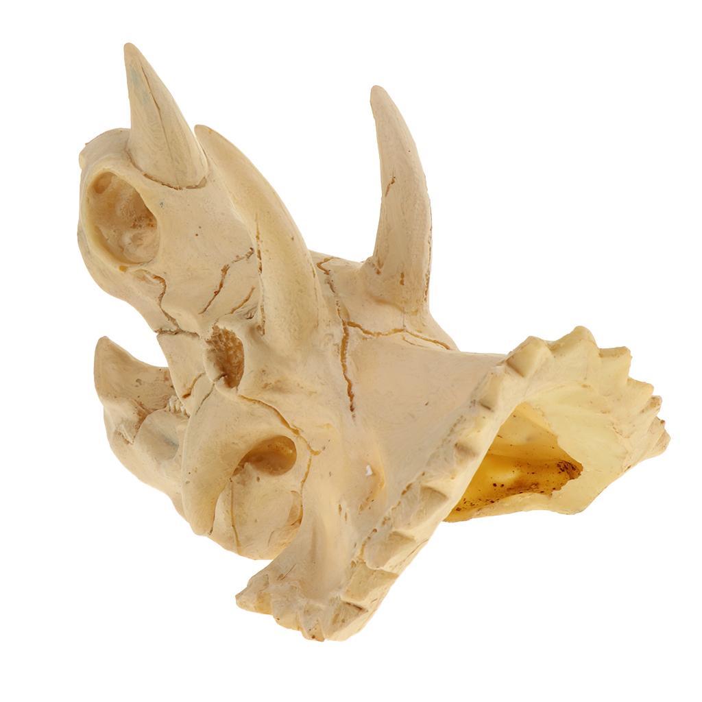 Reptile Vivarium Decoration Terrarium DIY Landscaping Skull