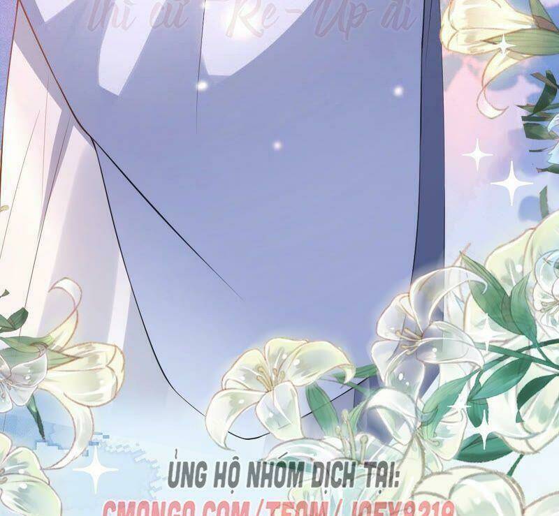 quận chúa vững vàng, thiết lập nhân vật không thể vỡ chapter 30 59