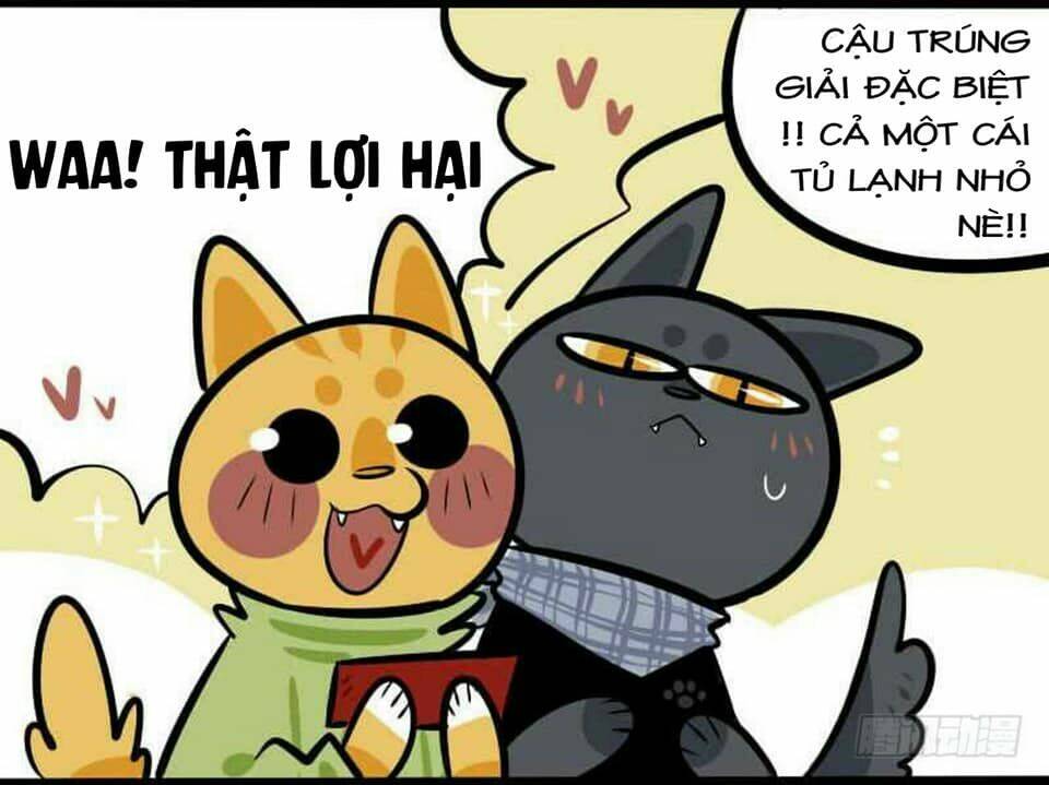 đời không như mình tưởng chapter 17 7