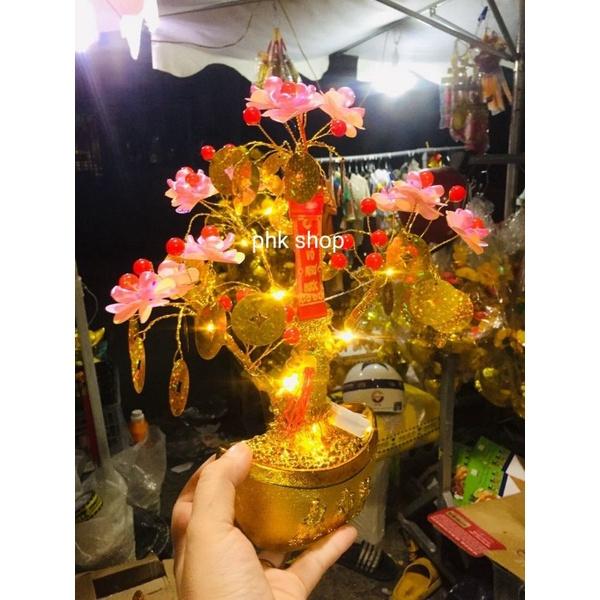 Cây kim tiền tài lộc hoa hồng 3D có led 25cm phk shop