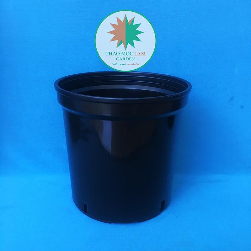 10c Chậu nhựa cứng 18x16cm – Chậu nhựa cứng, dày, miệng vành cứng trồng hoa hồng, hoa chậu