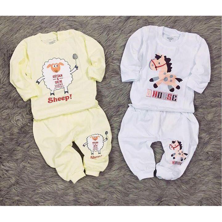 Bộ quần áo cater TD CV cho bé từ 1-24m
