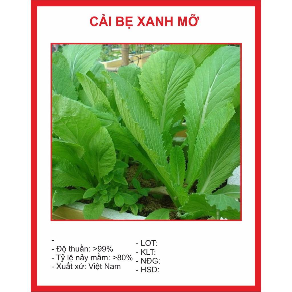 Hạt giống Cải Bẹ Xanh Mỡ 20gr ~4000 Hạt