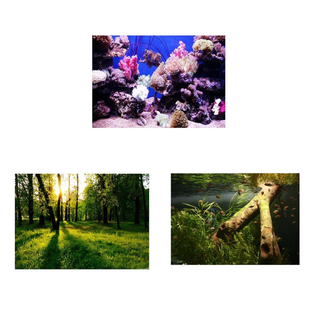 Aquarium Background Adhesive Poster Fish Tank Wall Decorations Sticker
