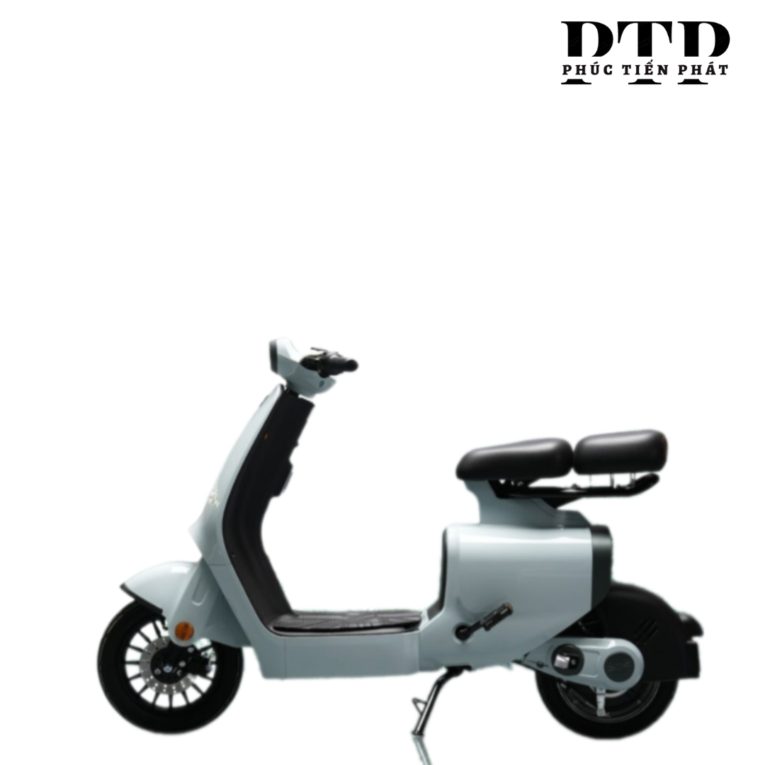XE ĐẠP ĐIỆN DK S1