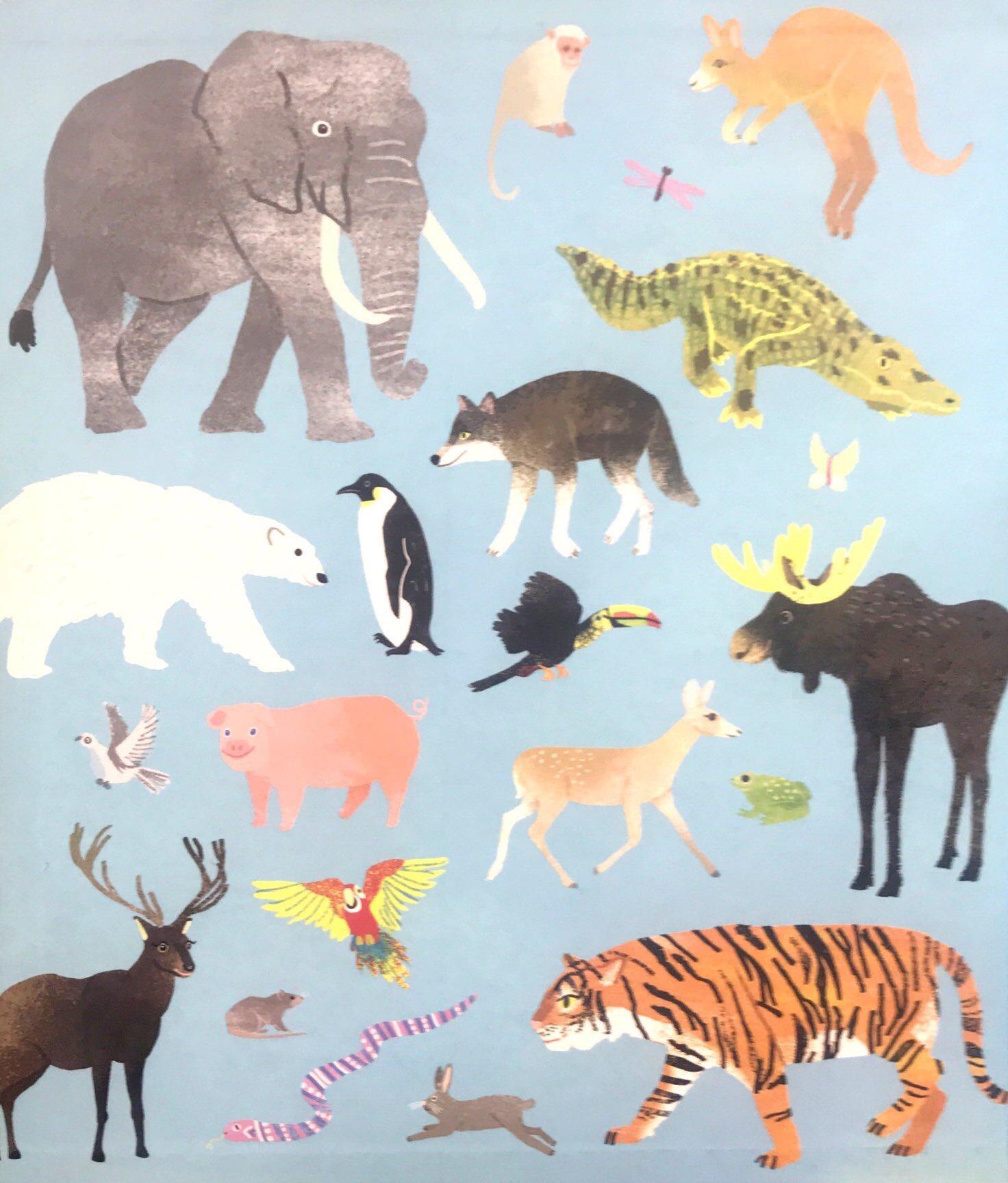 Noah's Ark