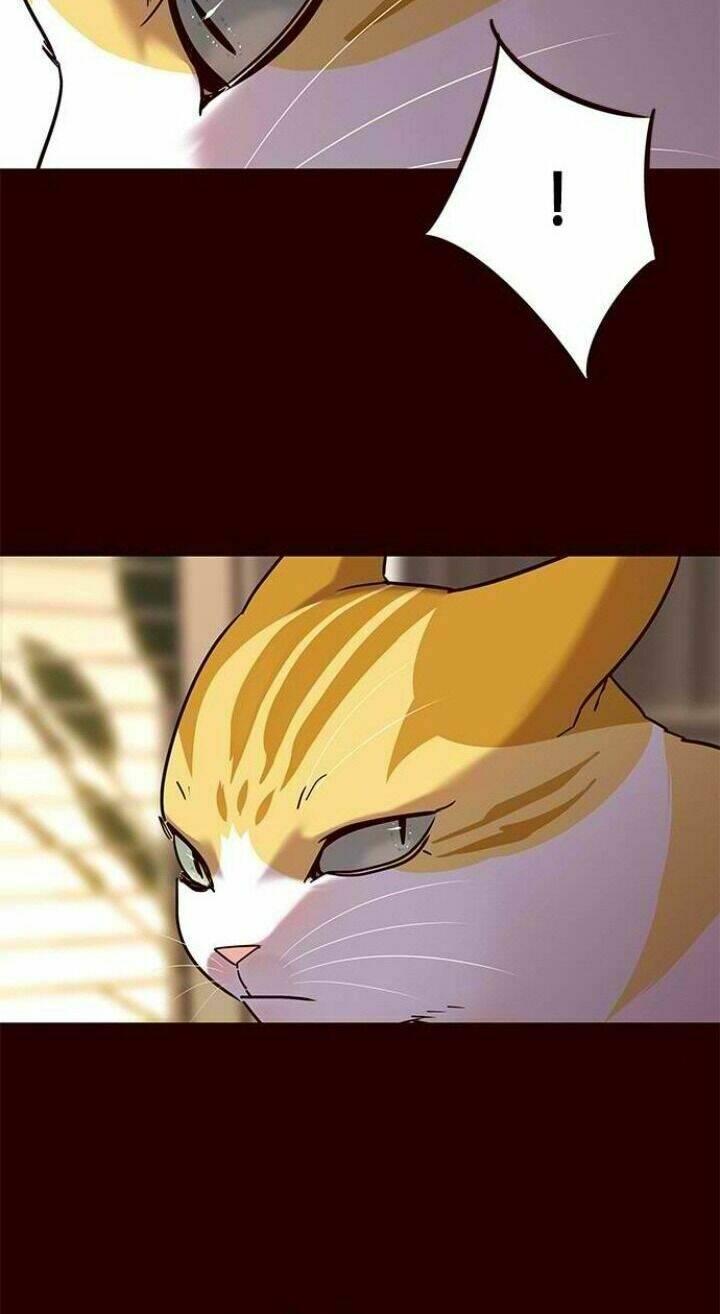 biến thân thành mèo chapter 96 11