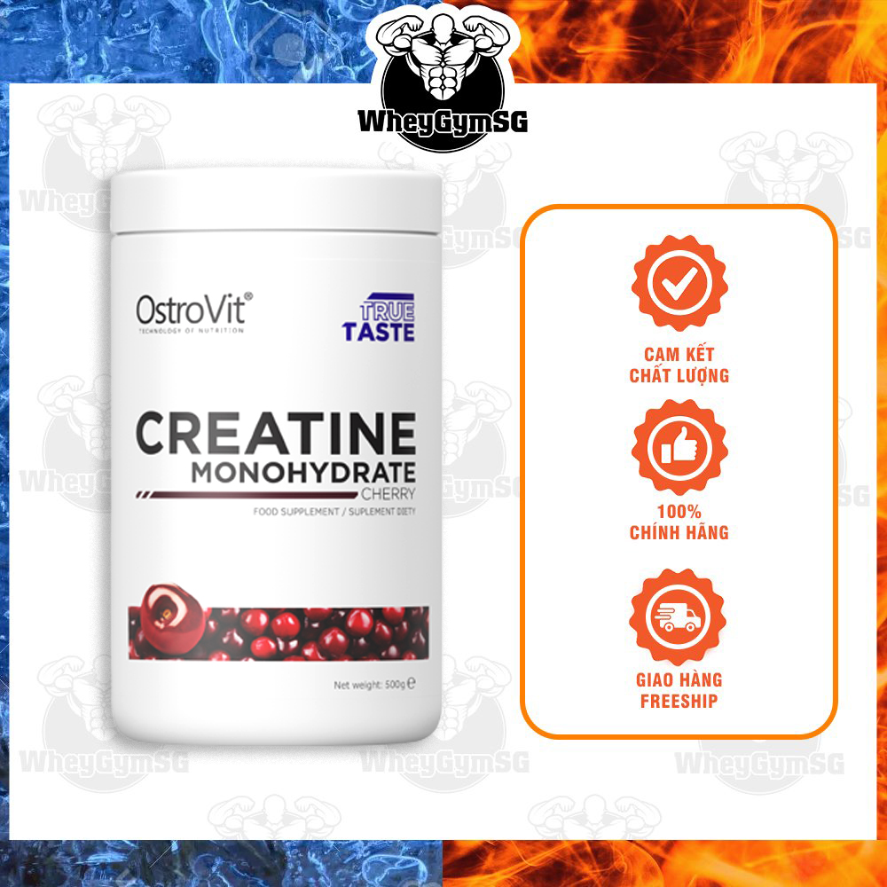 Creatine Ostrovit Tăng Sức Mạnh Cơ Bắp Chuyển Hóa Năng lượng Đốt Mỡ Ostrovit Creatine Monohydrate 500g