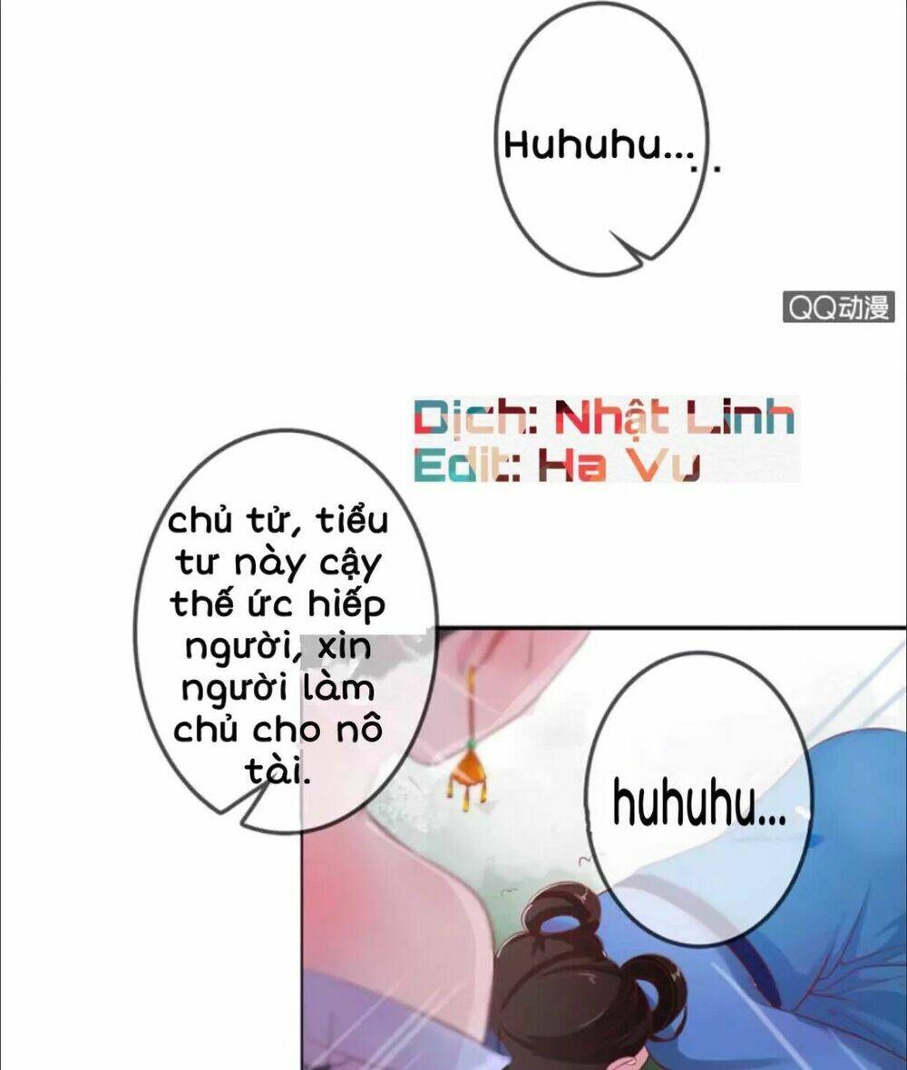 sủng phi của vương chapter 6 6