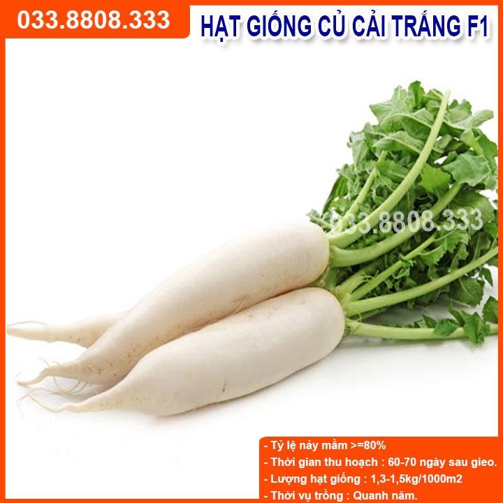 Hạt Giống Củ Cải Trắng 20g - Giống Tốt Năng Suất Cao