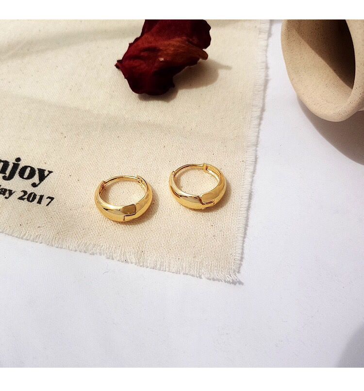 Bông Tai, Khuyên Tai Nữ Cổ Điển Titan Xi Mạ Vàng Non 24k Cao Cấp Phong Cách Thời Trang Trẻ Trung - HVBT97