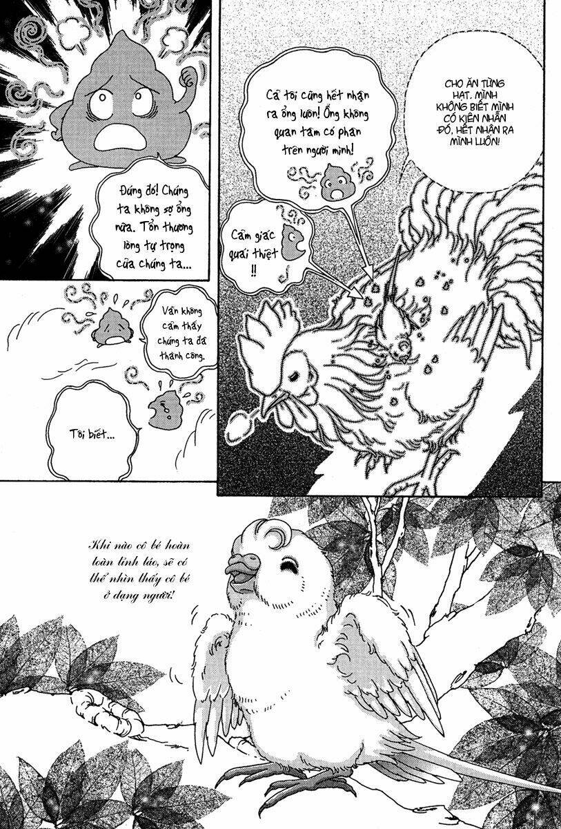 bird of youth chapter 6 24