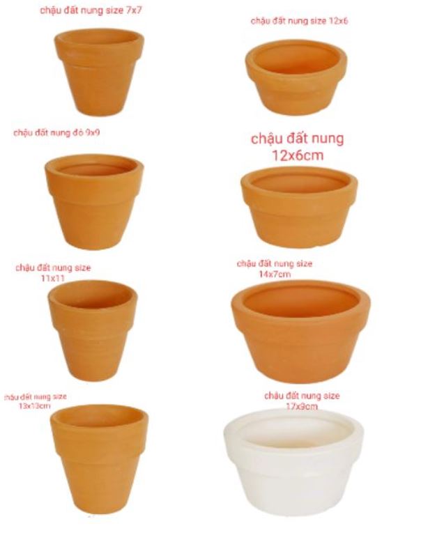 CHẬU ĐẤT NUNG BÁT TRÀNG TRỒNG SEN ĐÁ, XƯƠNG RỒNG