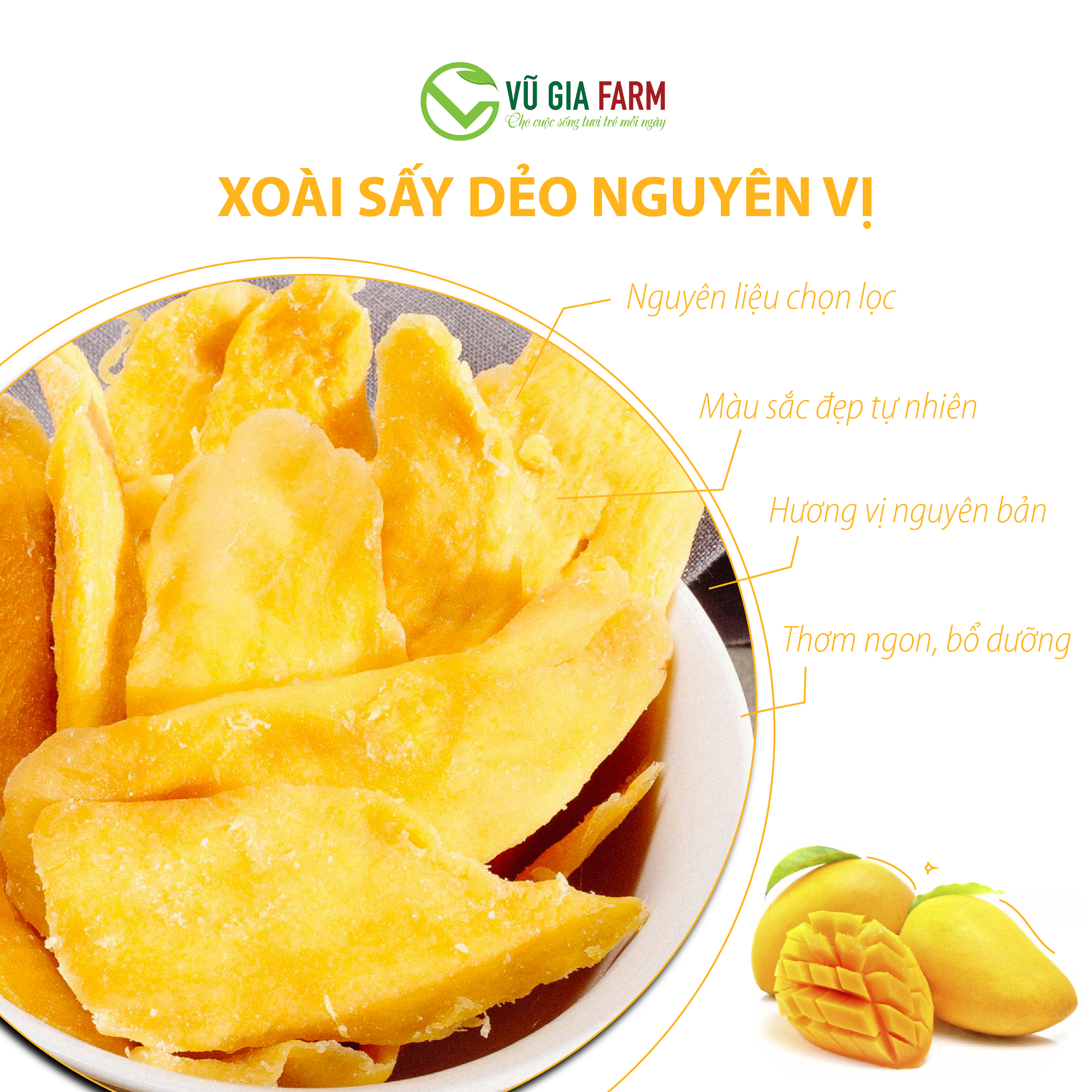 Xoài Sấy Dẻo Nguyên Vị (400g/hộp) - chua ngọt, thơm ngon đặc trưng