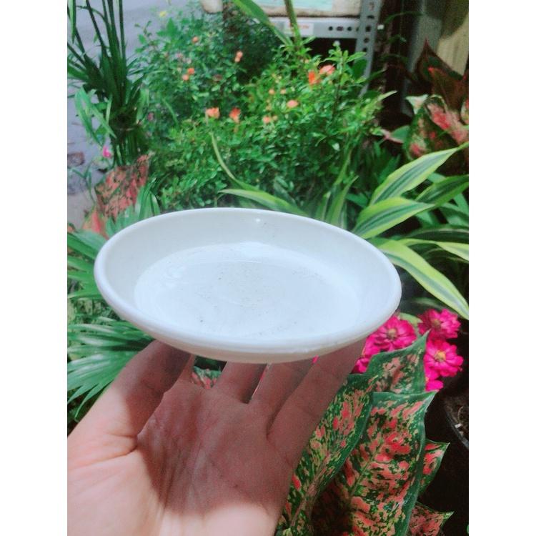 Đĩa Lót Chậu đường kính 14cm