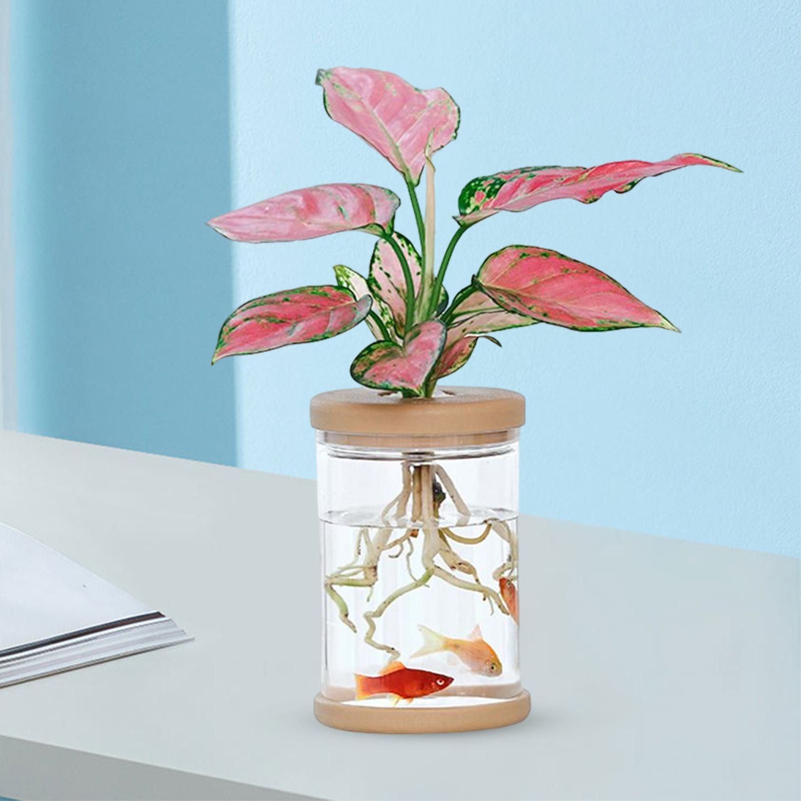 Tabletop   bookshelf ornament gift 9cmx12.8cm