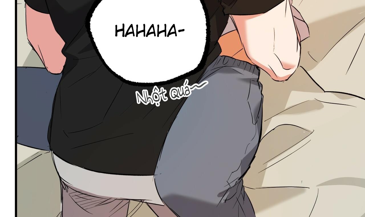 những chú thỏ của hapypy chapter 53 218