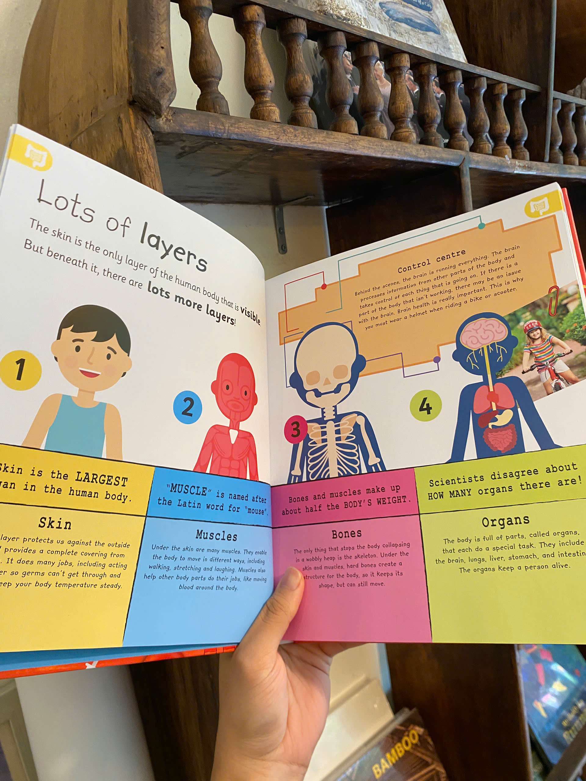 Sách - My Very Important Human Body Encyclopedia - DK Children English Book / Ngoại văn Nhập khẩu