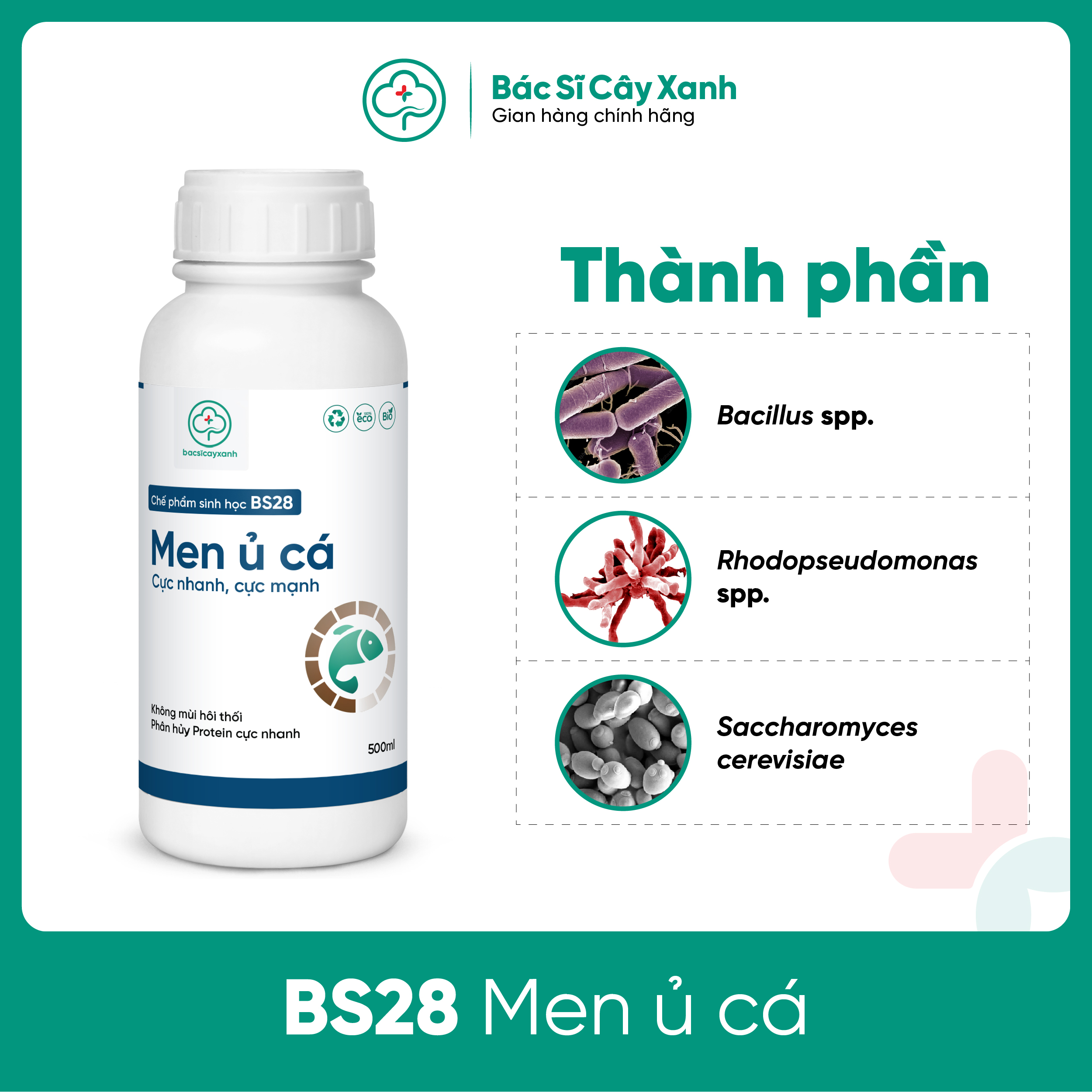 Men ủ cá thành phân đạm hữu cơ sinh học nhanh chống, không mùi hôi BS28 500ml NSX Bacsicayxanh