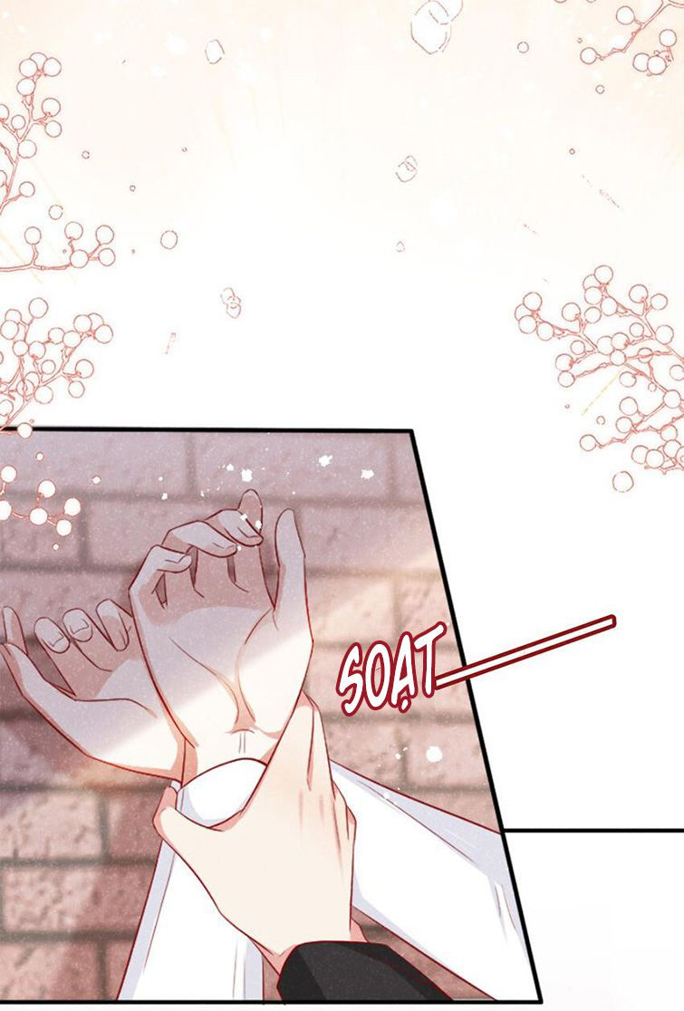 tôi với hình mẫu lý tưởng lìa trần rồi! chapter 38 39