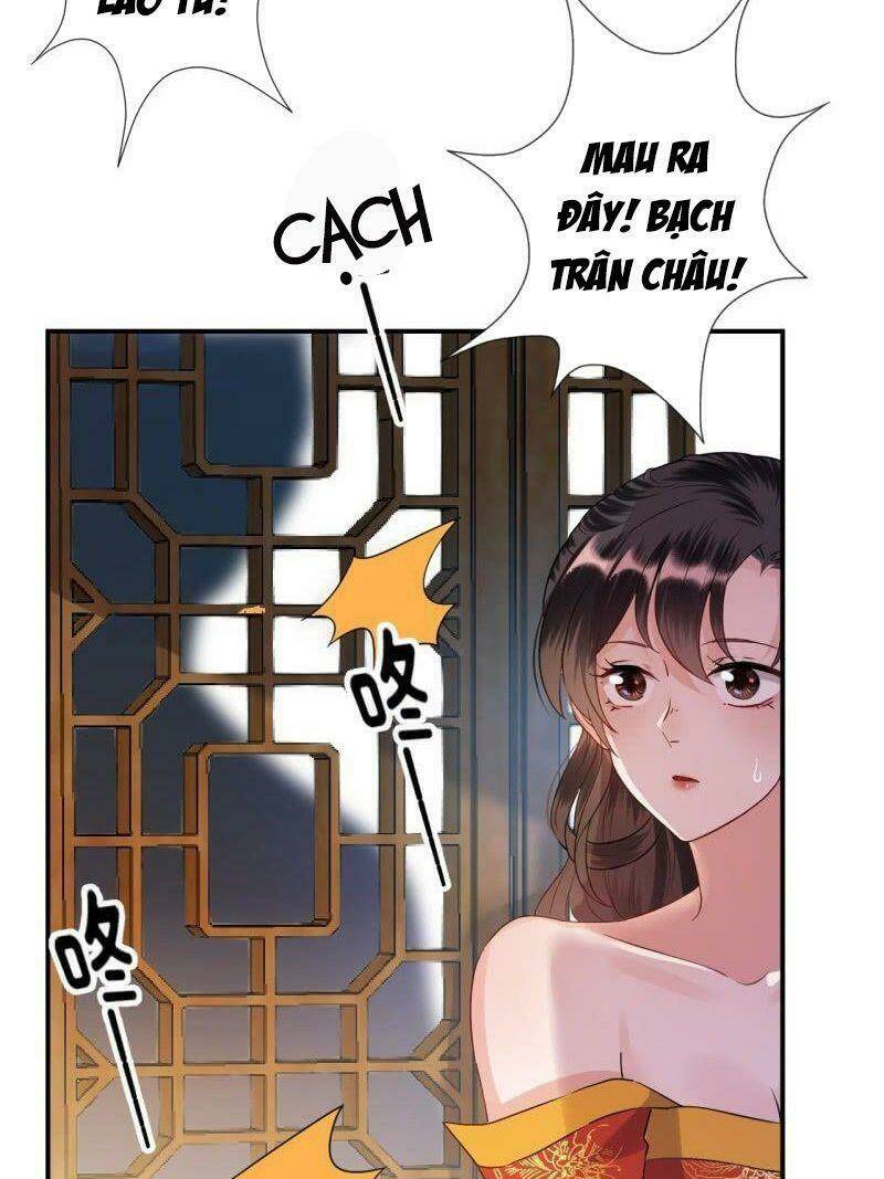 vương gia kiêu ngạo quá khó cua chapter 84 7