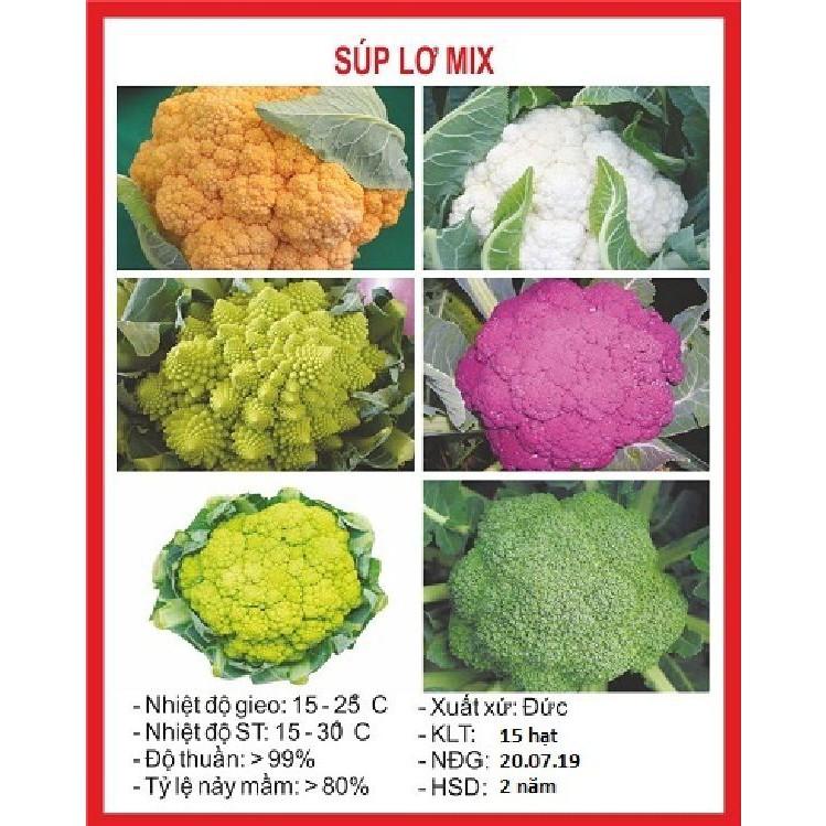 Hạt giống súp lơ mix màu 20 hạt/gói