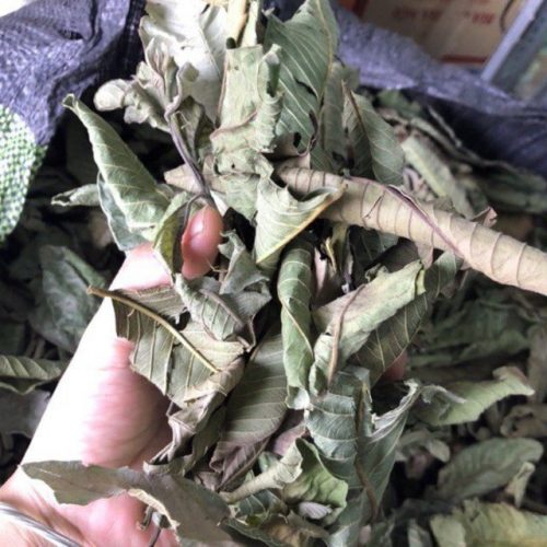 Lá ổi khô - Sản phẩm hữ cơ tự nhiên gói 1kg